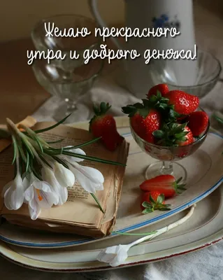 Картинка: "Желаю самого прекрасного утра, самому прекрасному человеку!" •  Аудио от Путина, голосовые, музыкальные