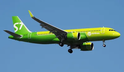 Самолеты S7 Airlines перестали летать в Азербайджан - , Sputnik  Азербайджан