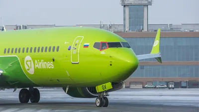 S7 Airlines Airbus A320neo and A321nx | Flight from Novosibirsk to Saint  Petersburg via Moscow - YouTube