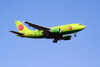 Авиакомпания «S7 Airlines» - Организация