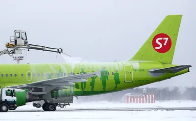 S7 Airlines: последние новости на сегодня, самые свежие сведения | НГС -  новости Новосибирска