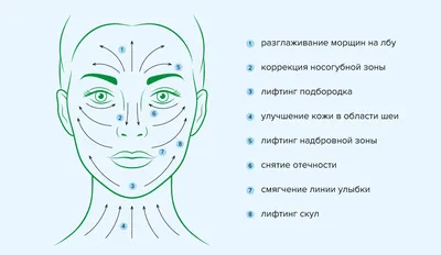 Самомассаж лица в домашних условиях – простой и эффективный путь к красоте  сидя дома | Энциклопедия по массажу | Дзен