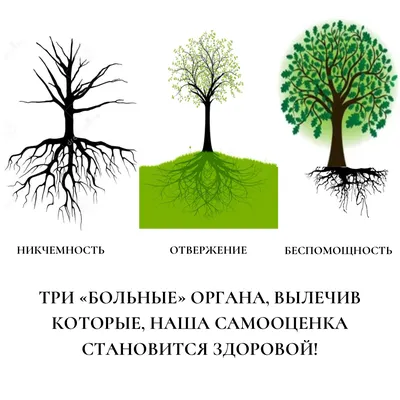 Самооценка. Практическое руководство по развитию уверенности в себе» Гленн  Ширальди - купить книгу «Самооценка. Практическое руководство по развитию  уверенности в себе» в Минске — Издательство Манн, Иванов и Фербер на 