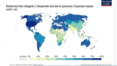 Жируха, стыдись!»: кому помешали полные женщины