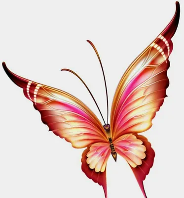 Как выглядит самые красивые бабочки» — создано в Шедевруме