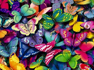 Самые красивые бабочки в мире | Узнавай.Ру | Дзен