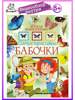 Самые красивые бабочки. Наглядный карманный определитель - Митителло К.