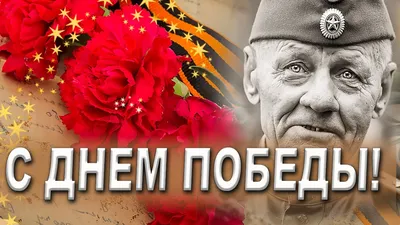 Стихи о 9 мая, о Великой Отечественной войне и Дне Победы. Военные стихи |  Материнство - беременность, роды, питание, воспитание