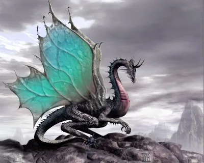 Красивый дракон и снегопад - Просто драконы - Галерея драконов - DragonSun  - Все самое интересное о драконах!