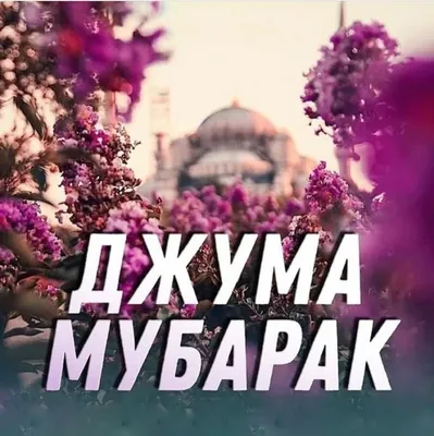 жума мубарак красивые картинки｜TikTok Search