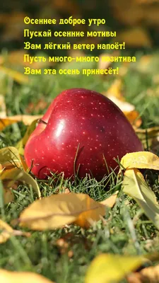 Светлой пасхи [53 картинки]