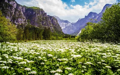 Русская зима: 30 самых красивых уголков нашей страны — Российское фото