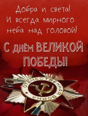 9 мая - День Победы: красивые открытки и трогательные поздравления с  праздником - МК Новосибирск