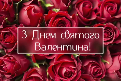 День святого Валентина: нежные поздравления, открытки, смс - «ФАКТЫ»