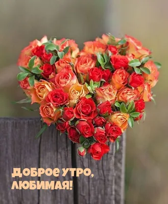 ❤️❤️❤️ Доброе утро, любимая ❤️❤️❤️ Самое красивое пожелание С ДОБРЫМ УТРОМ  для ЛЮБИМОЙ! - YouTube