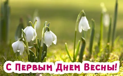 25 необычных картинок «С Первым днем весны!» – Блог Canva