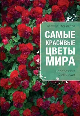 Самые красивые цветы в мире | Педагогическое Интернет-сообщество  "УчПортфолио"