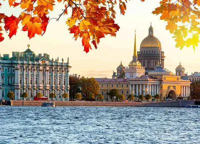 Осень в Санкт-Петербурге 2023 – когда золотая осень, куда сходить, что  посмотреть