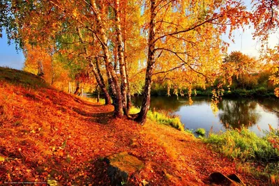 Красивые картинки золотая осень - 74 фото