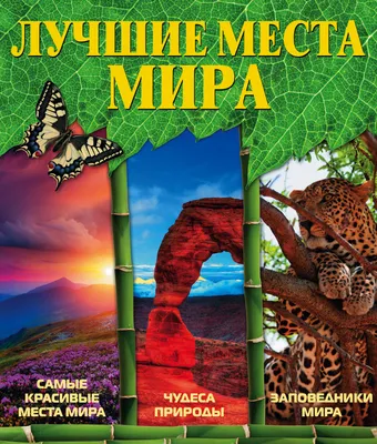 Как получить самые красивые зубы с помощью виниров и коронок - Немецкий  имплантологически центр, Москва