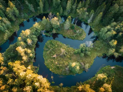 Лучшие снимки дикой природы 2022 года. Фотогалерея | РБК Life