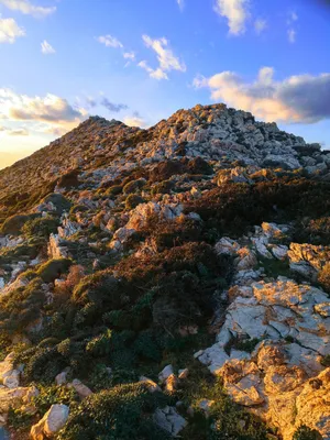 Лучшие фотографии дикой природы 2022 года