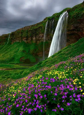 Самые впечатляющие снимки с конкурса «Лучший фотограф дикой природы 2019»