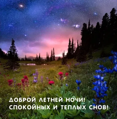 Летние открытки "Спокойной ночи!" (262 шт.)