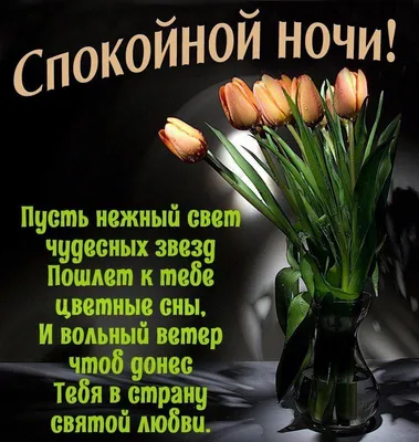 Картинки "Спокойной ночи!" (2829 шт.)