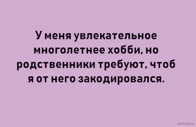 Заказать бенто торт с приколом | смешные бенто торты с приколами быстрая  доставка за час по Москве