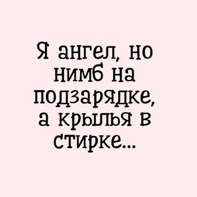 Самые-самые смешные фото кошек. Милые и забавные пушистики. Фото, которые  рассмешат и поднимут настроение! | Все про кошек | Дзен