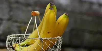 Helsingin Sanomat (Финляндия): вместе с цветом банана меняется и его  пищевая ценность | , ИноСМИ