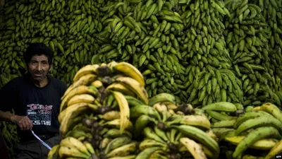 Гигантский таинственный банан появился снова, но в центре Суррея
