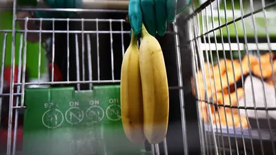 Почему подорожали бананы и будет ли новое повышение цен на фрукты в России  в 2024 году | Ямал-Медиа
