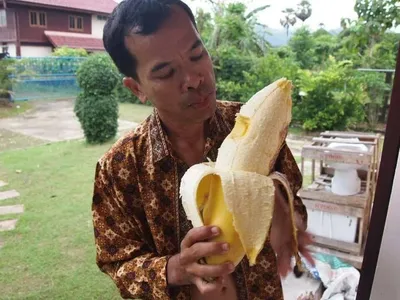 Самый большой банан в мире» — создано в Шедевруме