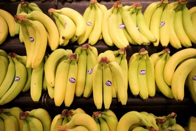 Как выращивают бананы для экспорта в Украину. Мир Наизнанку 13 сезон 8  серия. Эквадор - YouTube