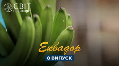 Познакомьтесь с изоамилацетатом, молекулой со вкусом банана, которую вы  любите ненавидеть - Кулинарный рецепт на 