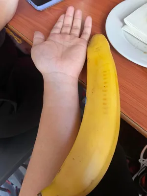 Создать мем "самый большой банан в мире, самый большой банан, большой банан"  - Картинки - 