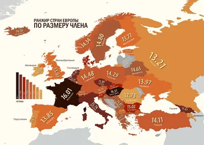 Шкала размеров мужских половых членов и их развитие доклад по медицине |  Упражнения и задачи Медицина | Docsity