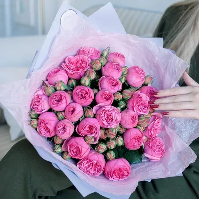 ♥ Самые красивые цветы в мире! ♥ | Красивые цветы, Цветы, Редкие цветы