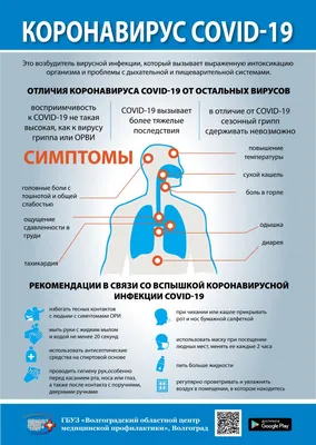 Санбюллетень по гриппу