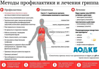 Санбюллетень "Новый Грипп A (H1N1) Калифорния", Формат А1 Горизонтальный —  Купить на  ᐉ Удобная Доставка (1940610051)