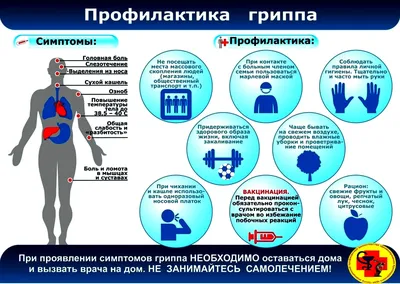 Санбюллетень медицинские плакаты от производителя с доставкой по РФ