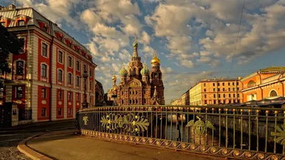 Литературные места в Петербурге – фото и описание