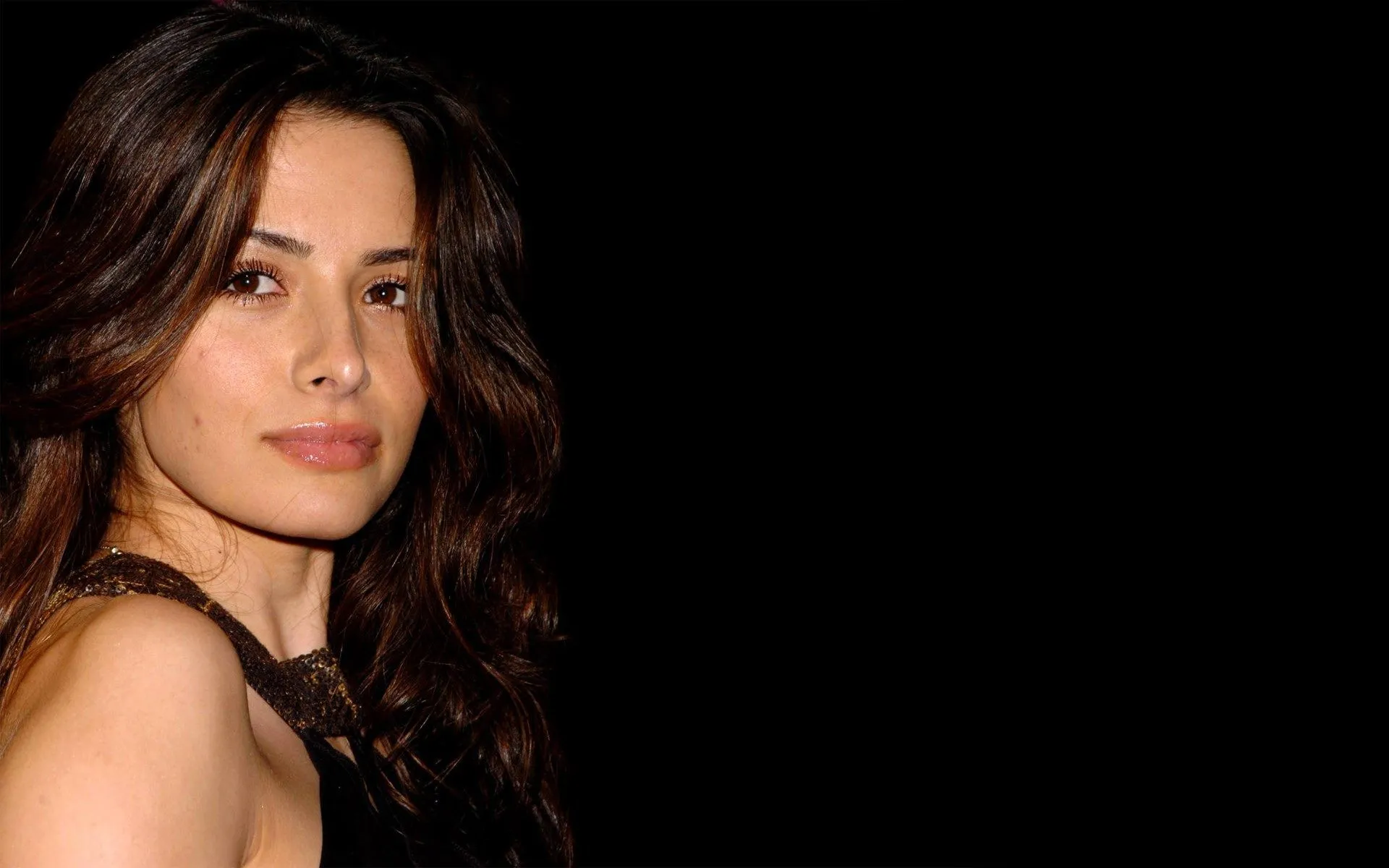 Sarah Shahi Images