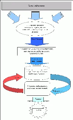 Программа Сайт Спутник: поиск и сбор информации в интернете | sitesputnik |  Дзен