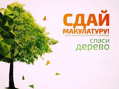 Сбор макулатуры