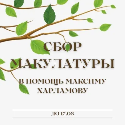 Сбор макулатуры, Василий Сазонов – скачать книгу fb2, epub, pdf на ЛитРес