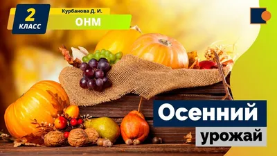 Осенний урожай. Окружающий нас мир - YouTube