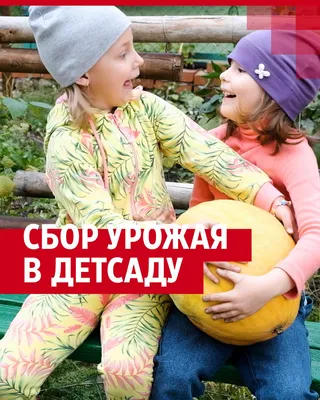 сбор осени. садовод-фермер. сельское хозяйство Иллюстрация вектора -  иллюстрации насчитывающей характер, зеленый: 227479999